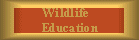 Wildlife Education